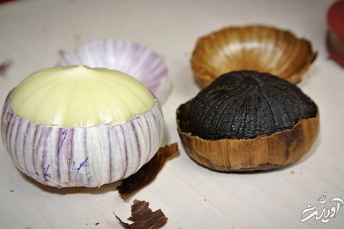 سیر سیاه و معمولی 